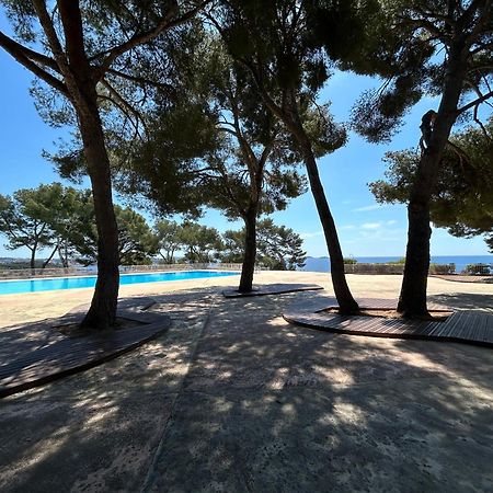 Horizon Bleu Bandol : Appartement Pieds Dans L'Eau Eksteriør bilde