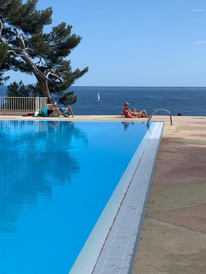 Horizon Bleu Bandol : Appartement Pieds Dans L'Eau Eksteriør bilde