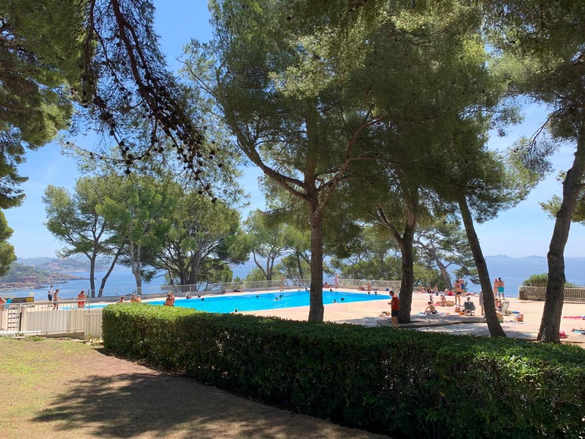 Horizon Bleu Bandol : Appartement Pieds Dans L'Eau Eksteriør bilde