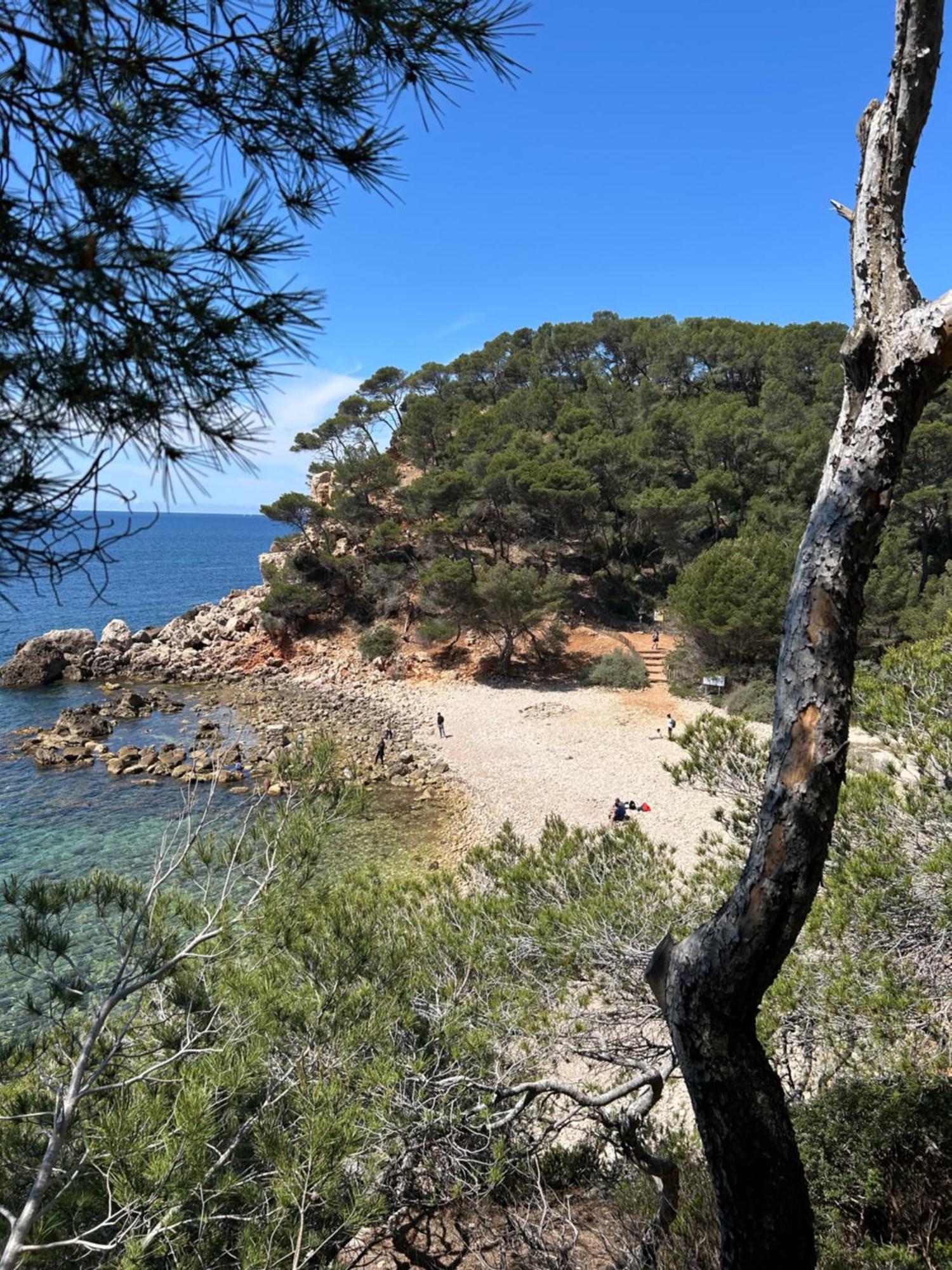 Horizon Bleu Bandol : Appartement Pieds Dans L'Eau Eksteriør bilde
