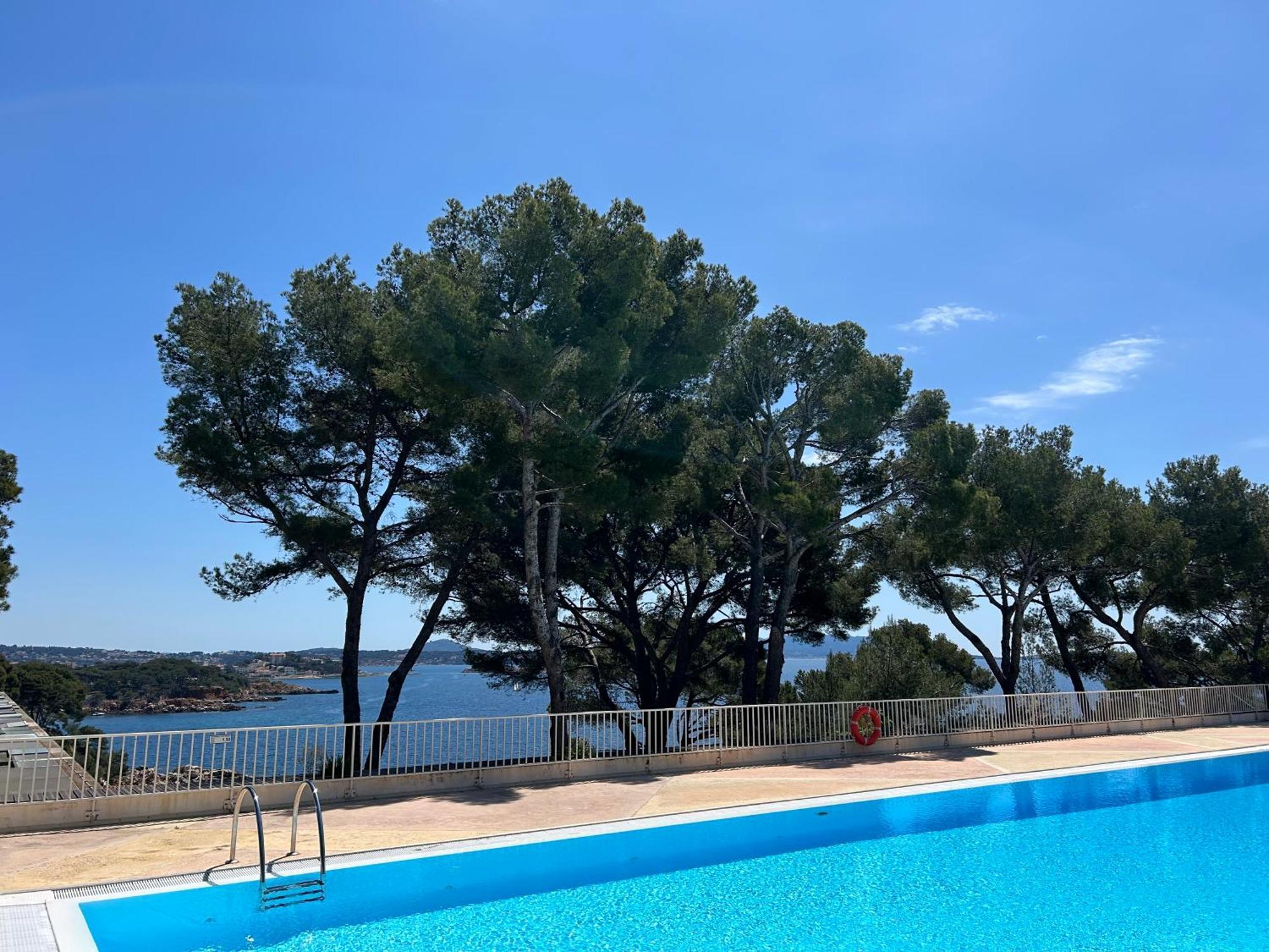 Horizon Bleu Bandol : Appartement Pieds Dans L'Eau Eksteriør bilde